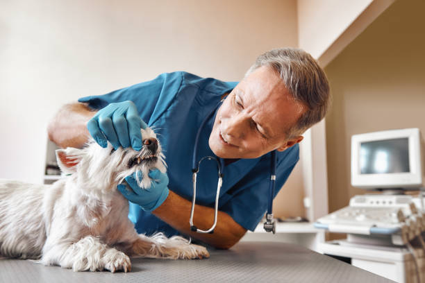 Best Emergency Root Canal Treatment in Mcgehee, AR